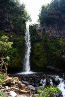 /album/fotogalerie-taranaki/dawson-falls-2-jpg/